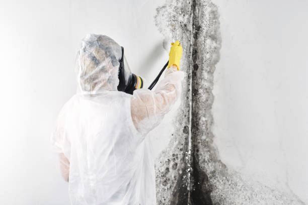 Best Commercial water damage restoration  in Waconia, MN